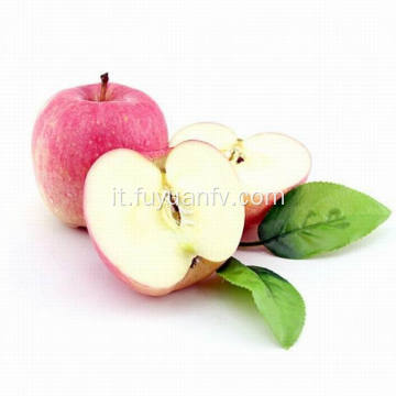 New Crop Fresh Cheap Qinguan apple (64-198)